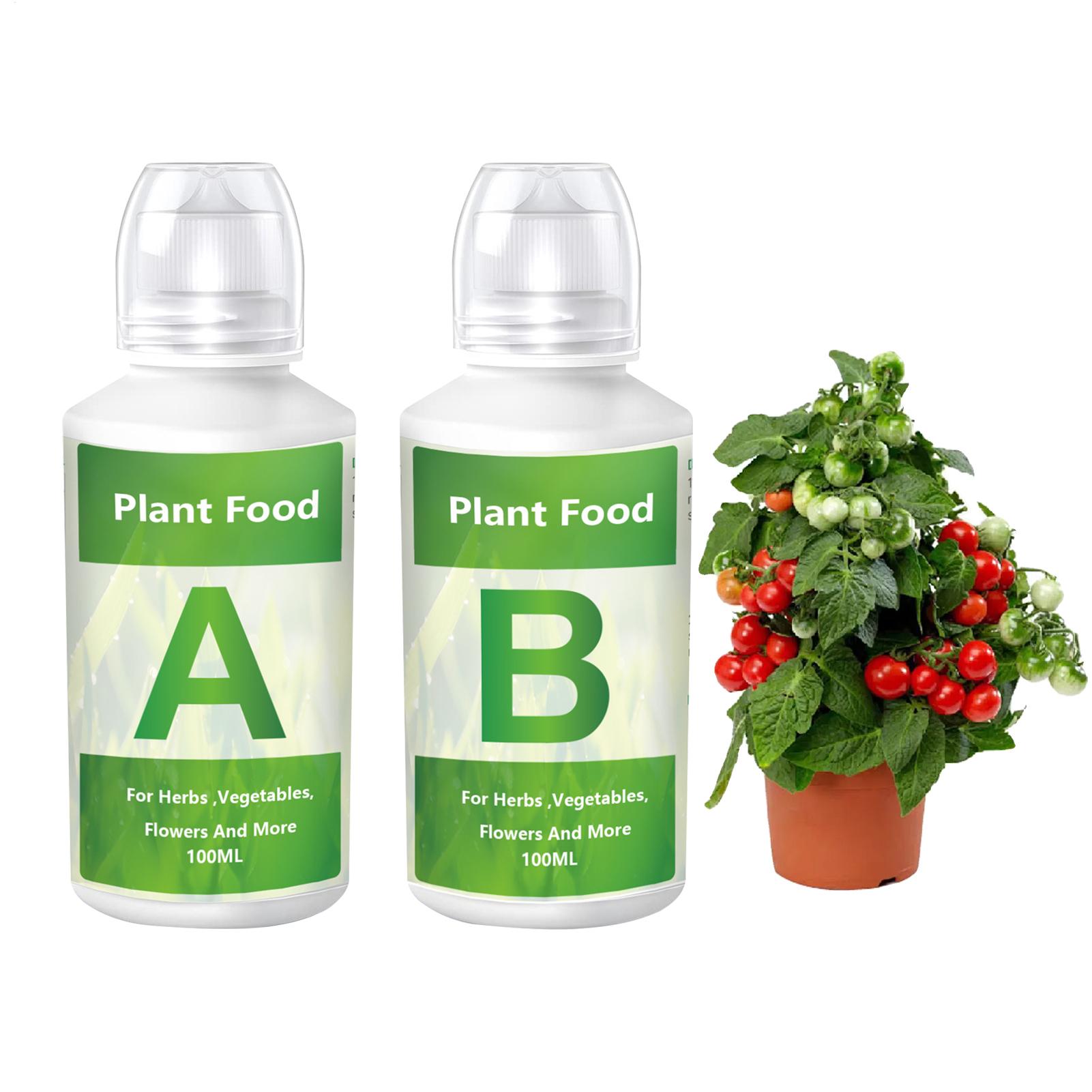Nutrient Solution Ab - Набор профессиональных гидропонных удобрений AB Solution