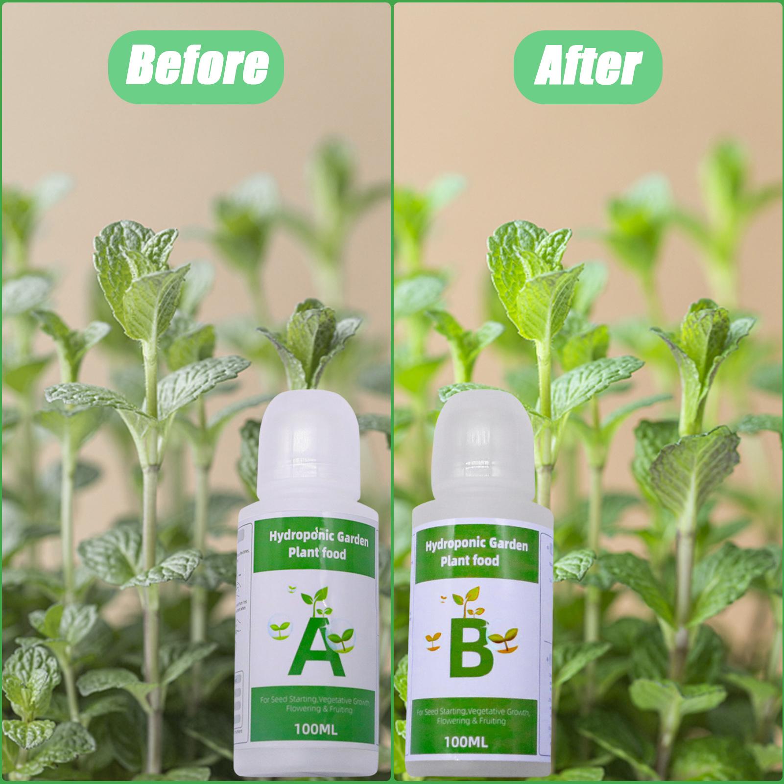 Набор гидропонных удобрений AB – обзор и цена Nutrient Solution Ab