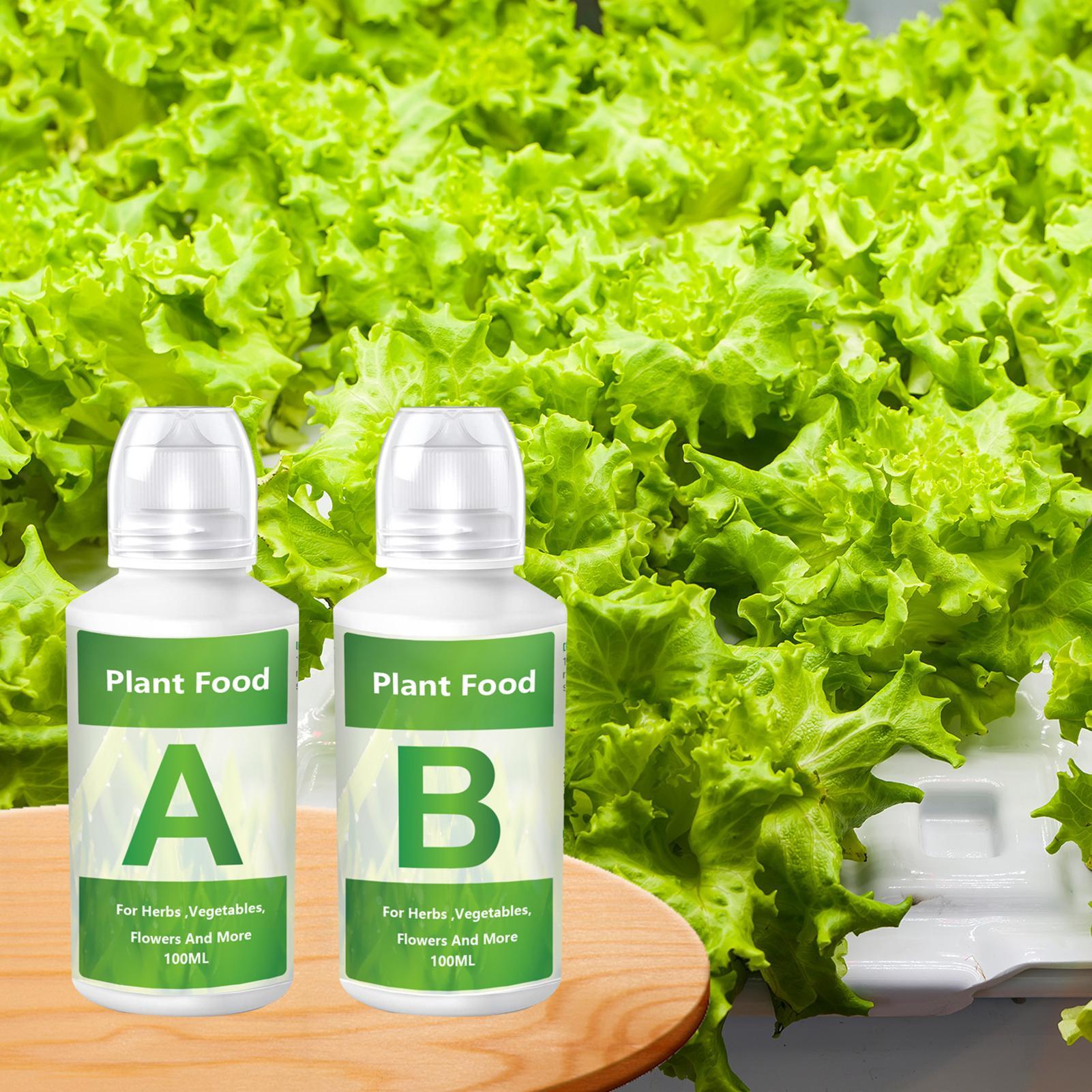 Набор гидропонных удобрений AB – обзор и цена Nutrient Solution Ab